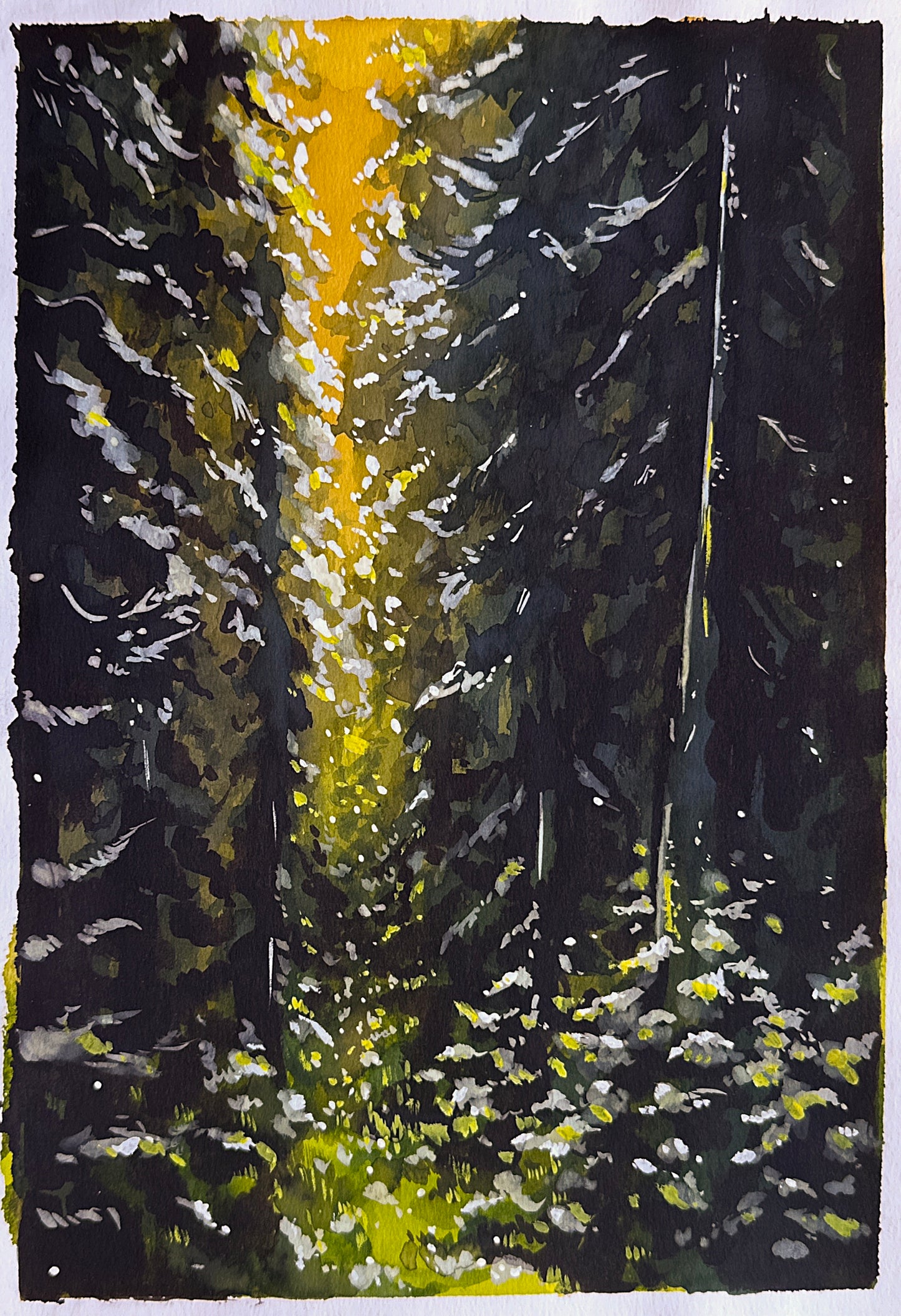Originals | Forests and other landscapes