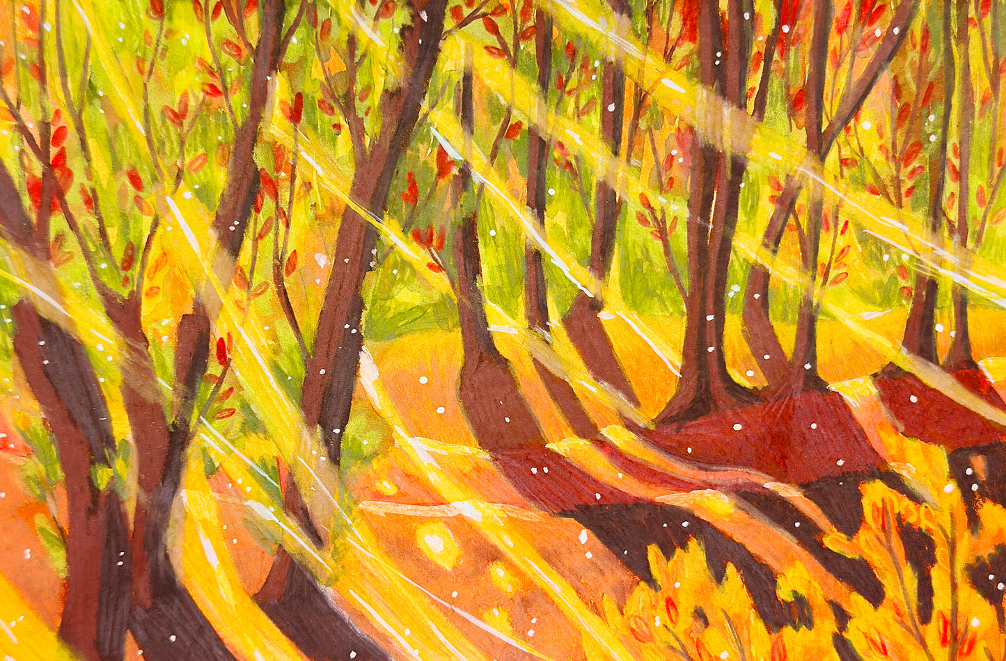 Originals | Forests and other landscapes